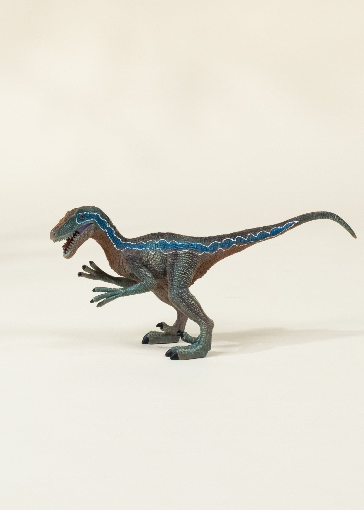 Coco Village Velociraptor Dinosaur in a Collectible Box - Image 3