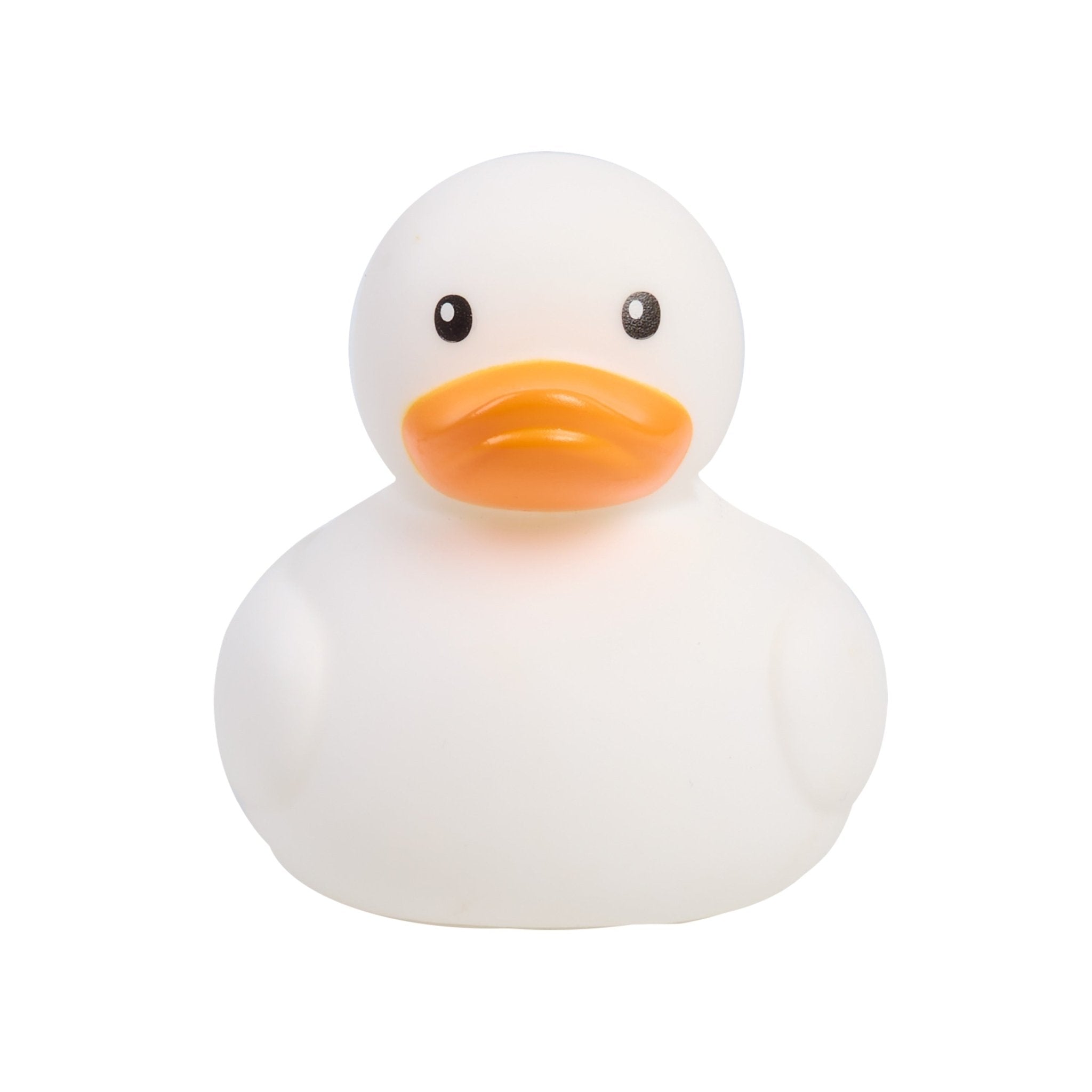 Dazzle Duck Rainbow - Image 2