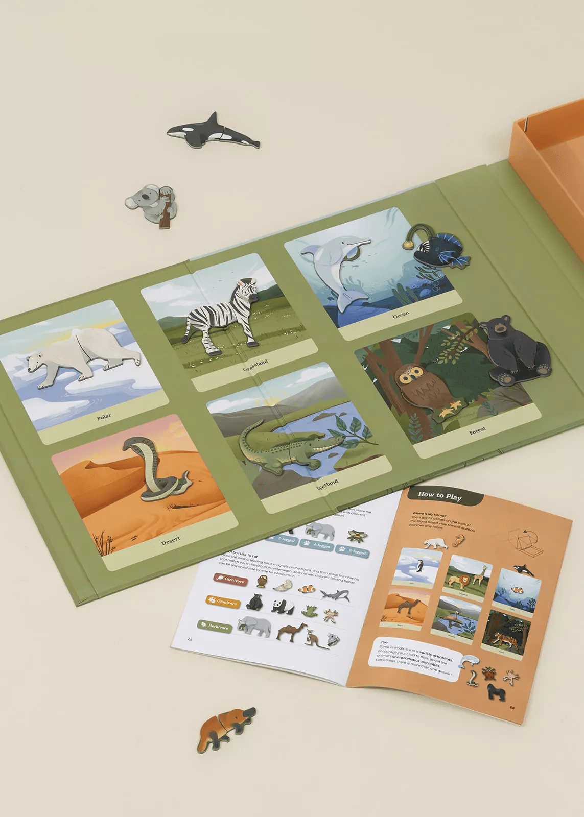 Coco Village Interactive & Magnetic Encyclopedia – Animal Discovery (English Version) - Image 3