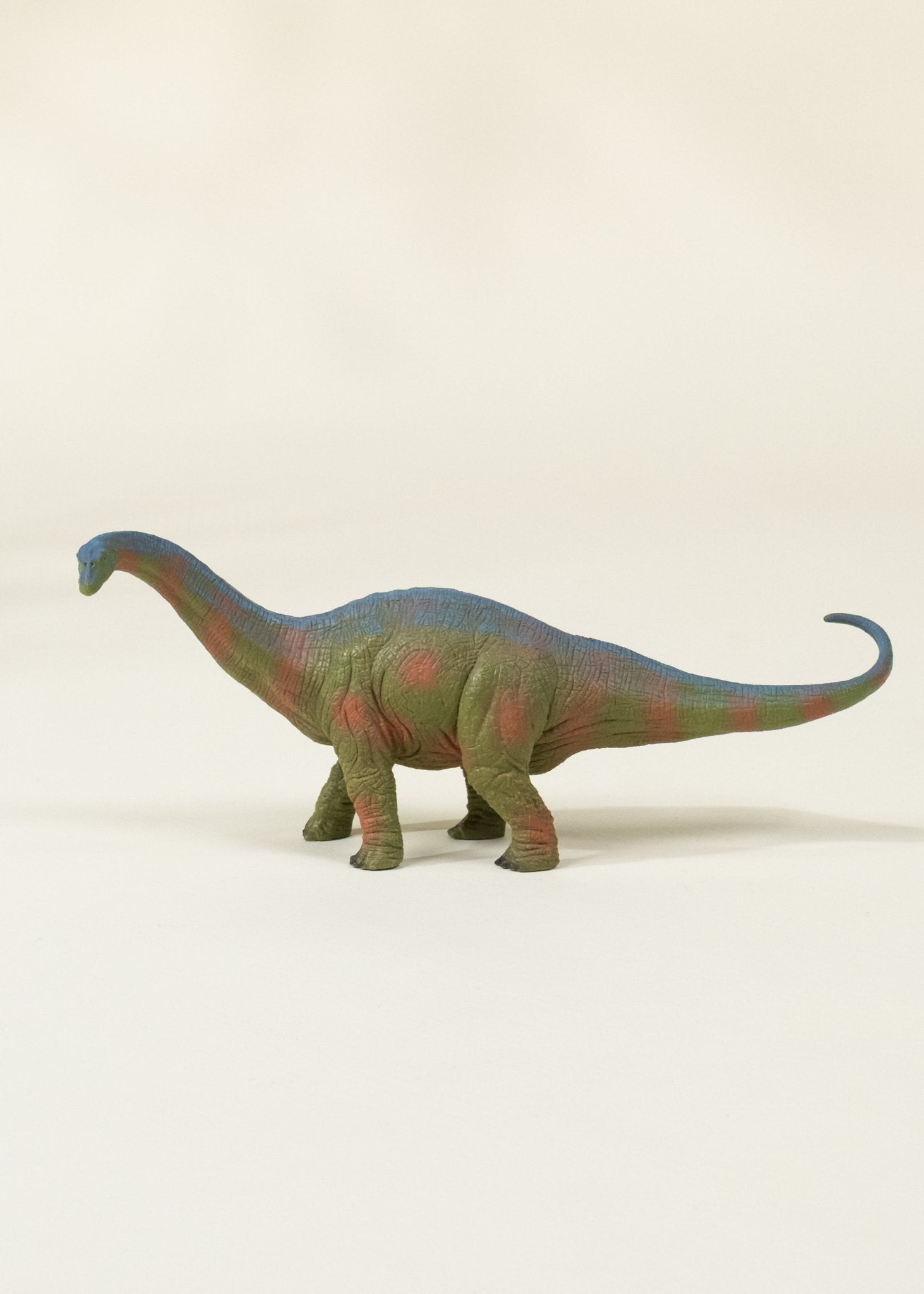 Coco Village Brachiosaurus Dinosaur in a Collectible Box - Image 5