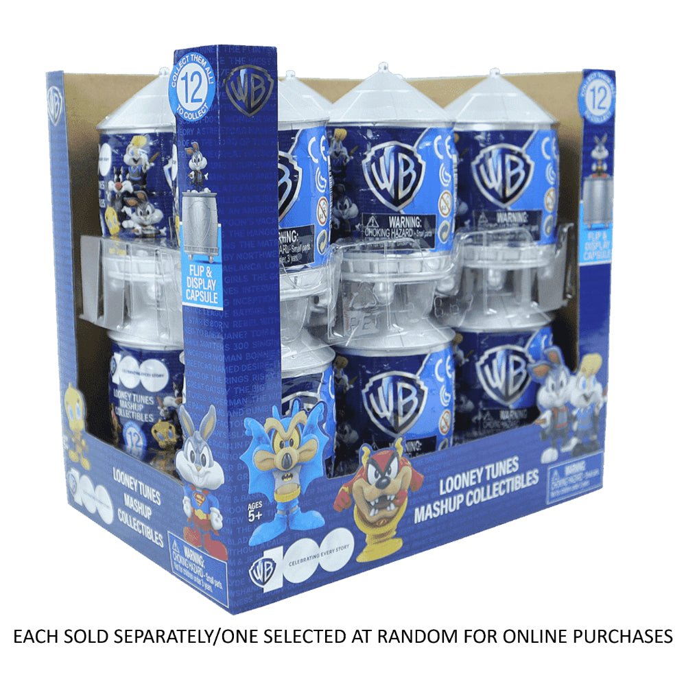 WB100 2.5" Minifigure Mashup Assorted