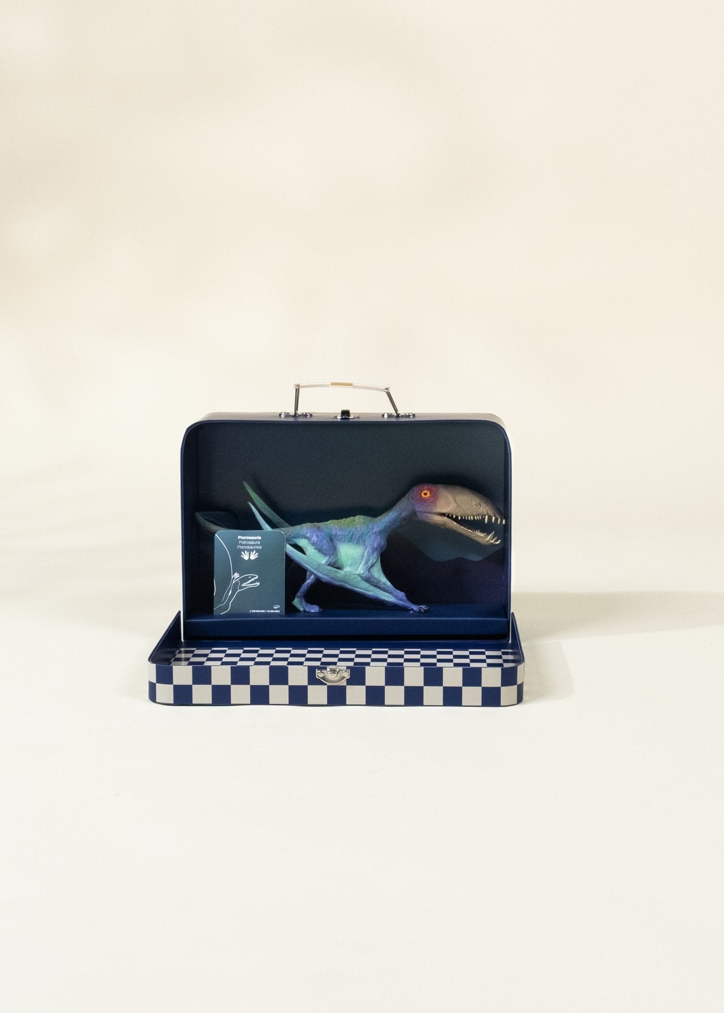 Coco Village Pterosauria Dinosaur in a Collectible Box - Image 2