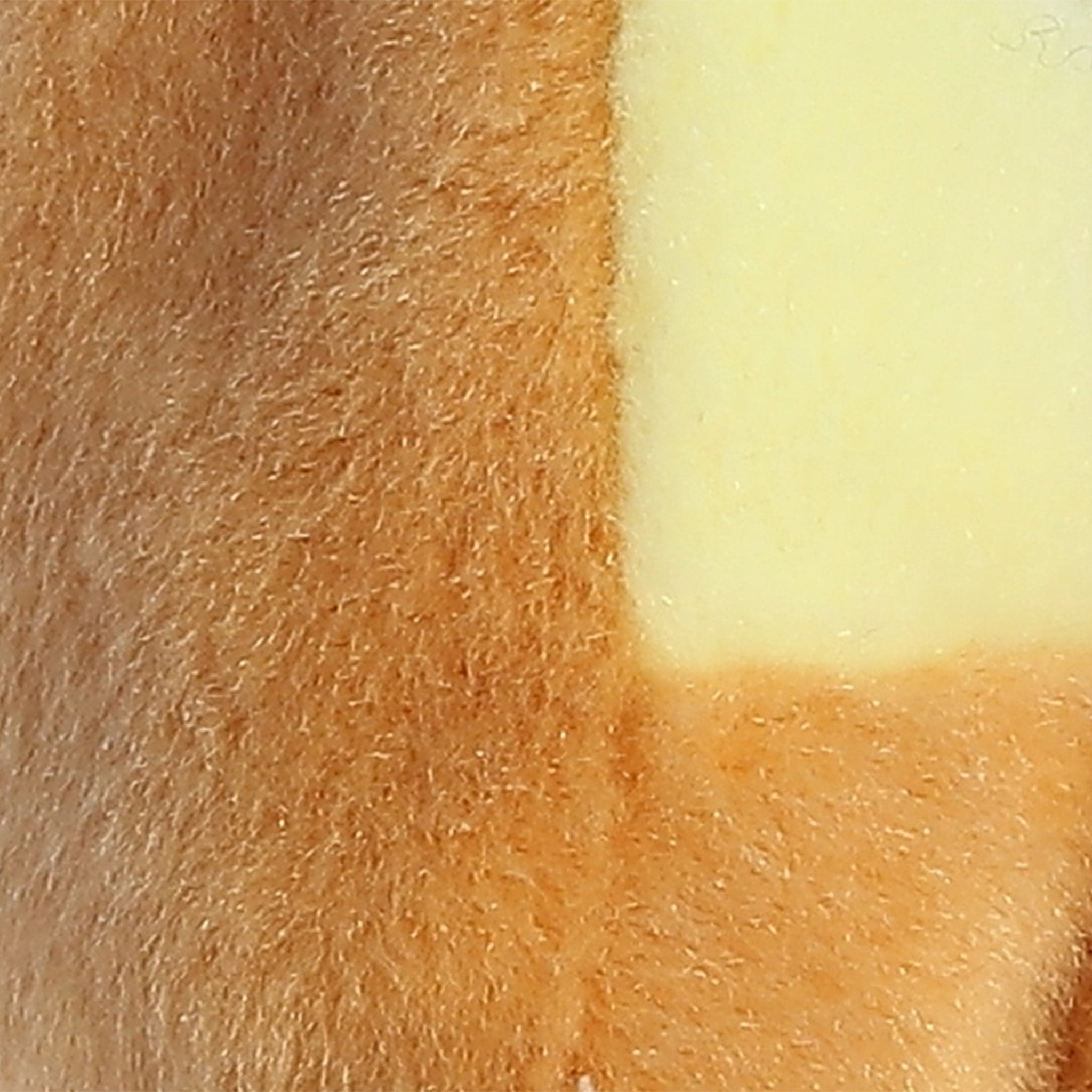 Palm Pals Peppa Pizza Slice 5" - Image 6