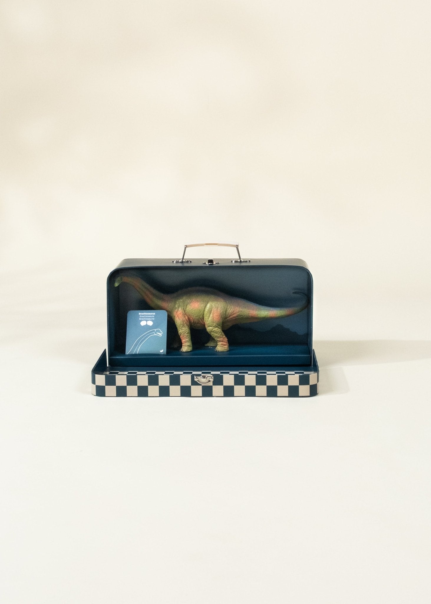 Coco Village Brachiosaurus Dinosaur in a Collectible Box - Image 3