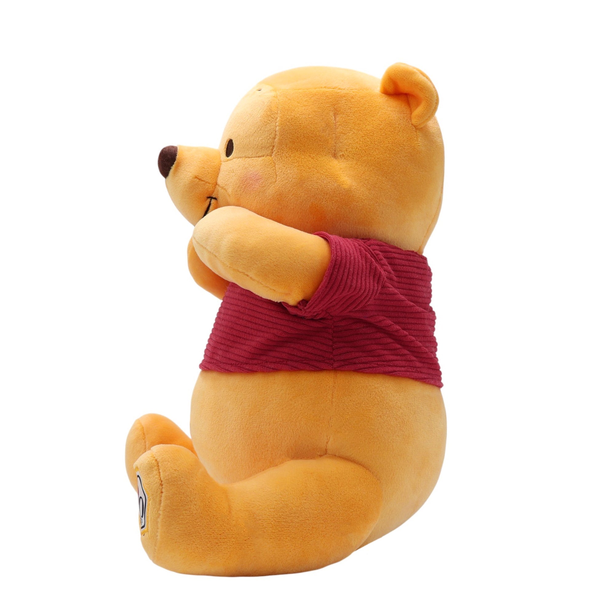 Disney Winnie The Pooh 100th Anniversary Plush - Image 5