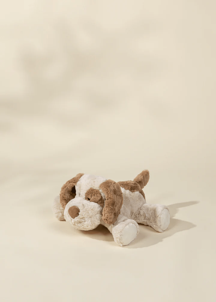 Coco Village Medium Dog Plush Toy
