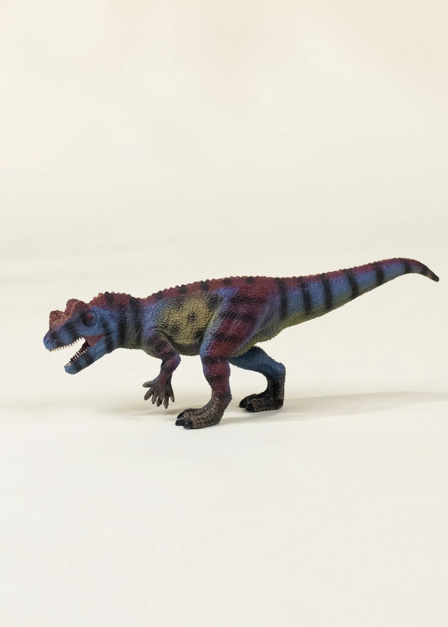 Coco Village Ceratosaurus Dinosaur in a Collectible Box - Image 4