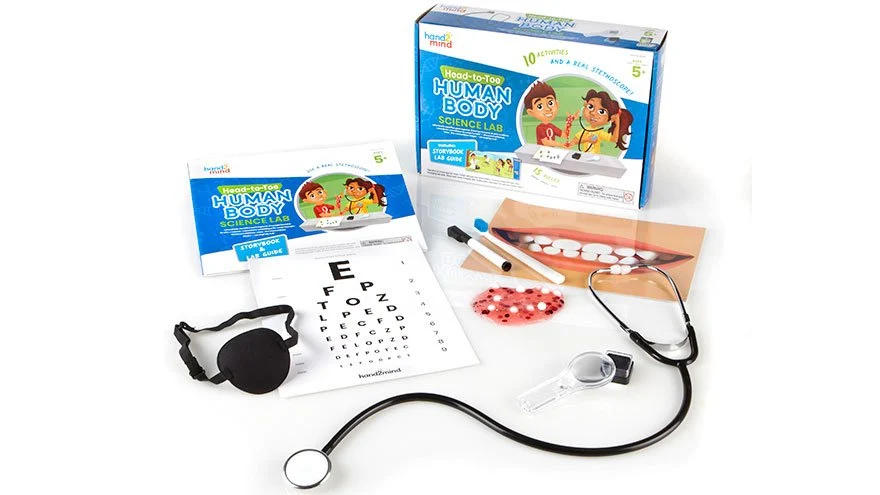 Hand2Mind Head-To-Toe Human Body Science Lab - Image 2