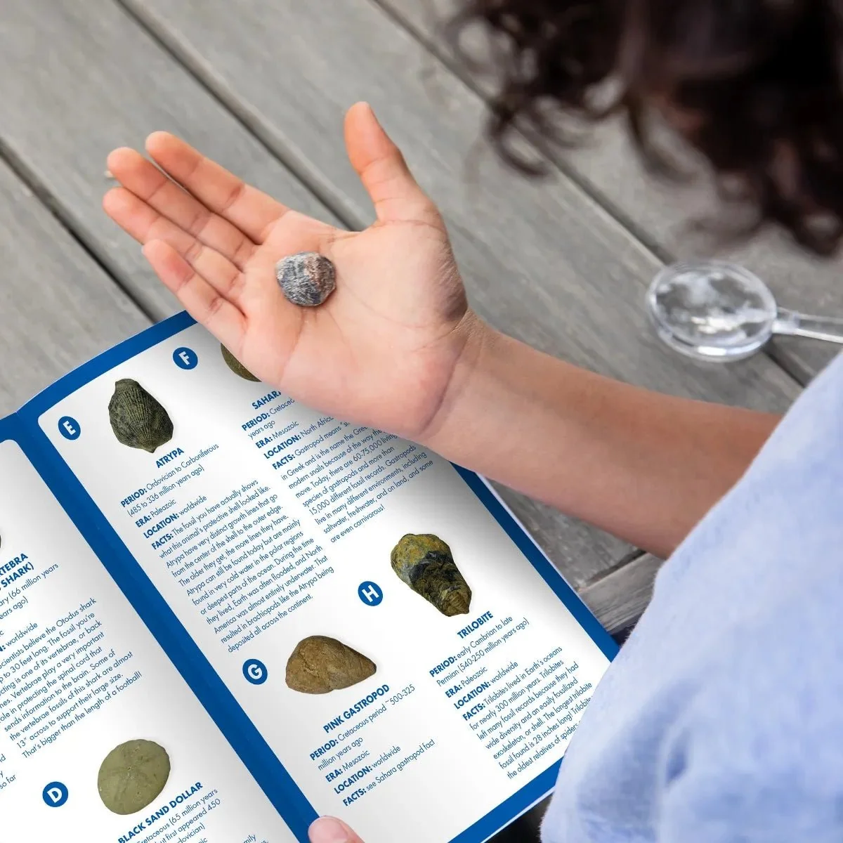 Educational Insights GeoSafari® Fossil Excavation Kit - Image 5